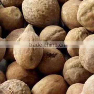 Fine Grade Terminalia bellirica Powder Sale And Export