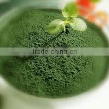 herbal Spirulina Powder for healthy life