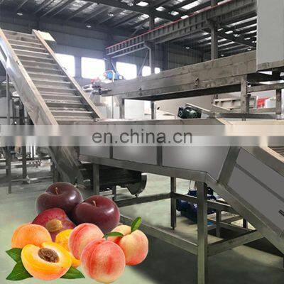 Natural Cherry Numatic Fruit Juice Hot Filling Machines Production Line photo-3