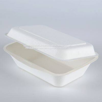 New Hot Disposable Biodegradable 350ML Bagasse Food Box Take Away Sugarcane Container