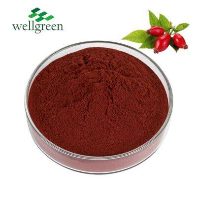 Rose HIPS Polyphenol Rose Hip P. E. Pure Natural 10: 1 50% Vitamin C Powder Rose Hip Extract