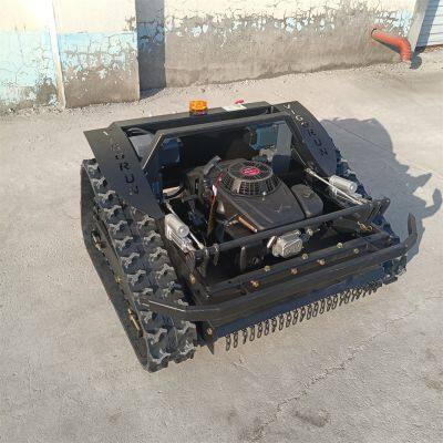 affordable Radio control lawn mower