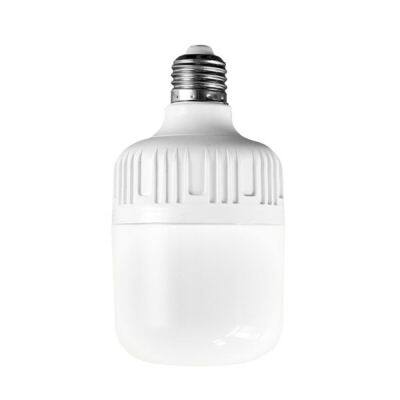 Manufacturing Plant Wholesale Cheap 3000 5000 Lumen 10W 20W 40W Price LED Bulb Light photo-4