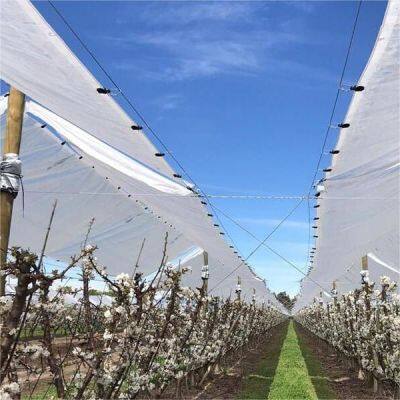 Cherry Tree Plastic Cover