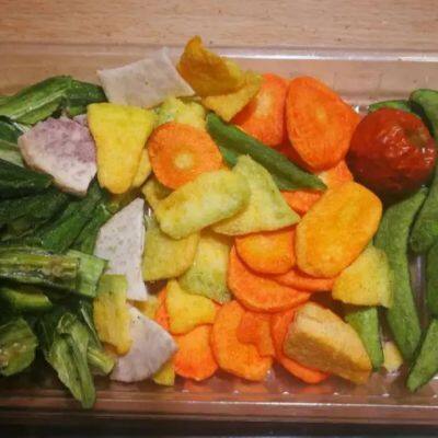 Séchoir lyophiliseur Machine de lyophilisation sous vide Fruits et légumes lyophilisés