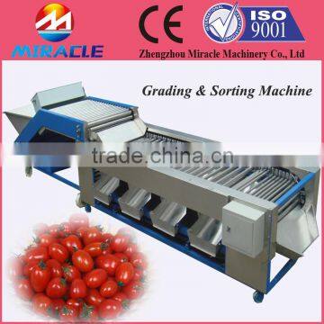 6 levels size sorting machine/Process fruits and grading machine price                        
                                                Quality Choice