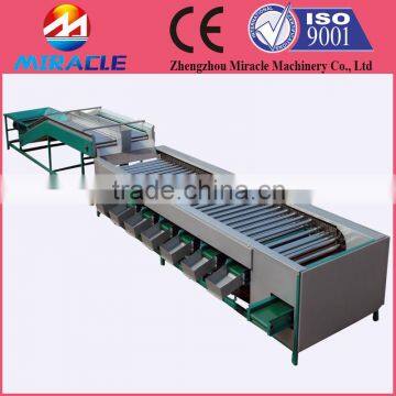 Olive size grading and sorting fresh olive sorter machine price