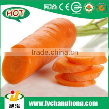 2014 wholesale high quality fresh carrot S, M, L, 2L, 3L