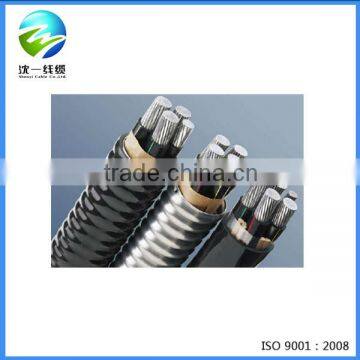 0.6/1kv AAAC XLPE Armored or Unarmored self-locking Aluminum Alloy Wire Cable