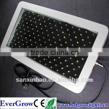 300w led grow panel light for growing greenhouse planting