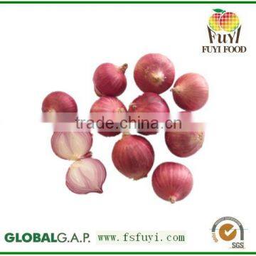 Fresh Red Oinon Shallots