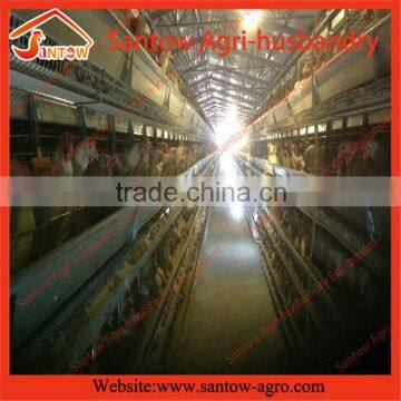 Alibaba China Manufacture layer chicken house