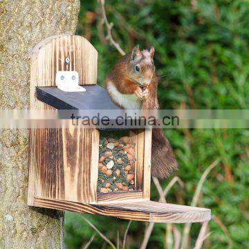 squirrel feeder