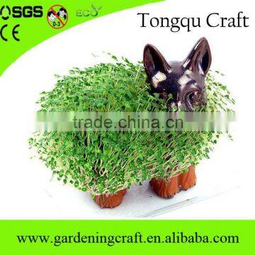 Best Selling Christmas Gifts 2016 Chia Pet Promotional Gifts 2015 Handmade Gifts photo-3