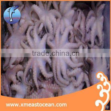 Frozen Seafood Product of Baby Octopus