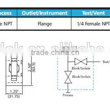 Stainless Steel Instrument Manifolds Water/gas/oil 2-valve Manifolds Direct Mount Manifold photo-2