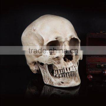 PVC animal skull figures,Plastic human skull figurines,skull model,