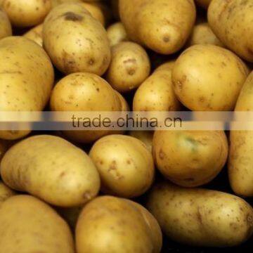 Fresh Potato photo-5