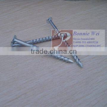 Round head Twist shank nail