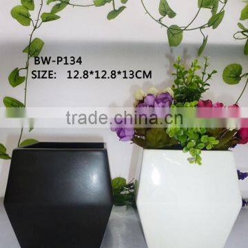 matt white and black ceramic flower pots