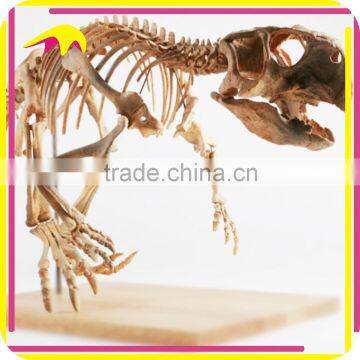 KANO4352 Outdoor Decorative Fiberglass Dinosaur Artificial Skeleton