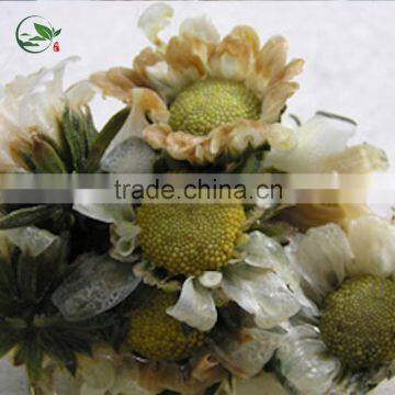Organic Dried Purple Chrysanthemum Herbal Tea photo-4