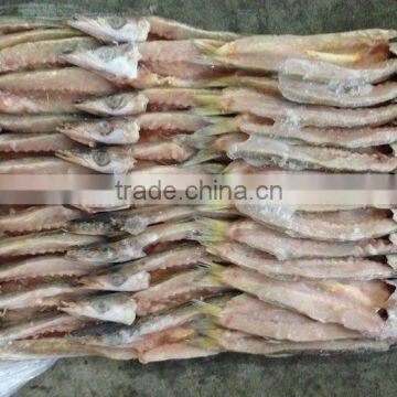 Best Quality Lady Fish Fillet