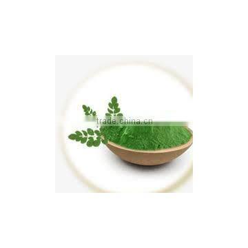 Pure moringa powder/High quality moringa for health benefits moringa leaves powder