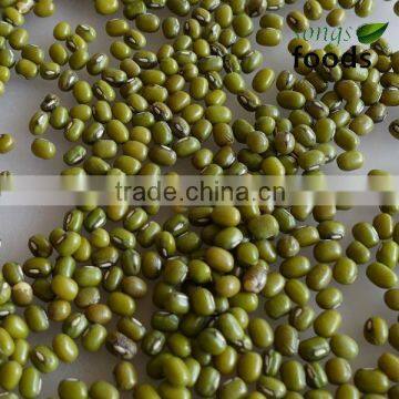 China Bulk Fresh Green Mung Bean For Sale