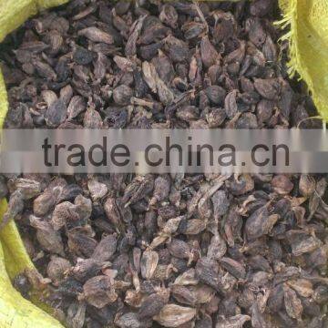 Black Cardamom From Viet Nam photo-2