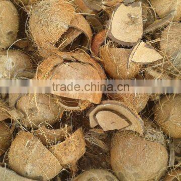 Dry Coconut Shell photo-3