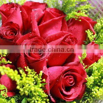 Fresh Cut Rose Flower photo-5