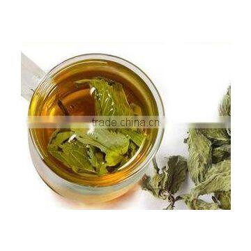 Mint Leaf Tea Herbal tea