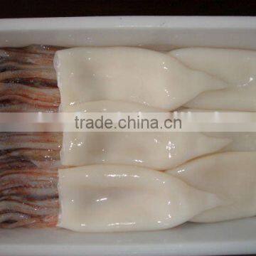 frozen squid tube seafood