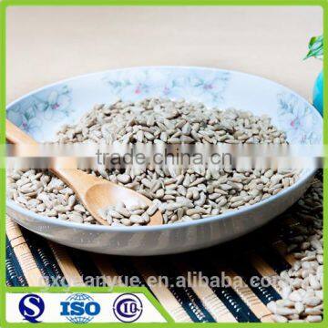 2016 crop Chinese pure hulled sunflower seeds