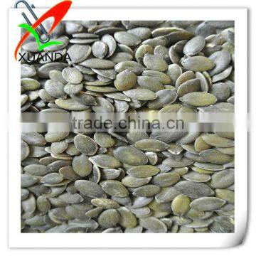 diffrent type pumpkin seed kernels GWS A