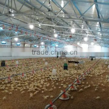 Eonomical commercial steel frame broiler chicken house