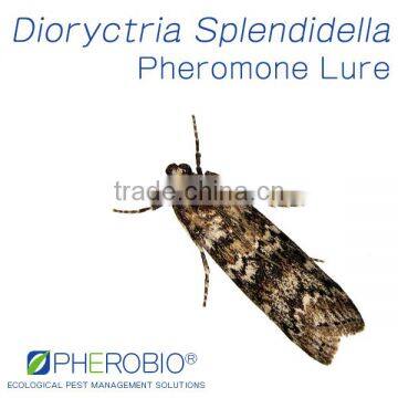 Pheromone Lure for Dioryctria Splendidella and Bigger Wing Trap