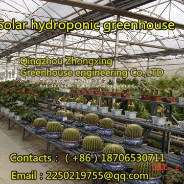 Grass Greenhouse, We Are Professional！ photo-2