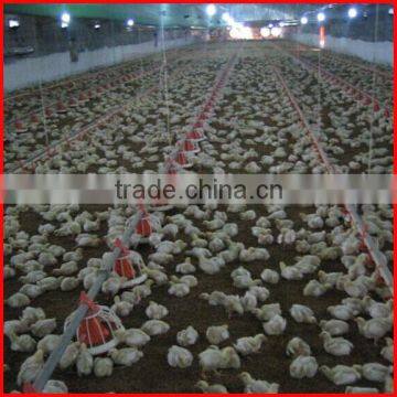 Low price of best selling poultry feeding equipments automatic broiler flooring ground feeding system