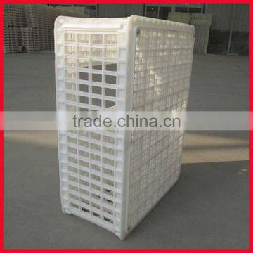 Plastic Material and Chicken Use Poultry Crates Supplier