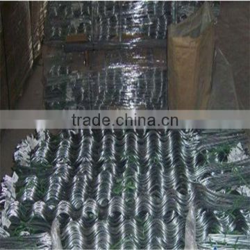 Best price!Plant Support Wire/galvanized tomato wire