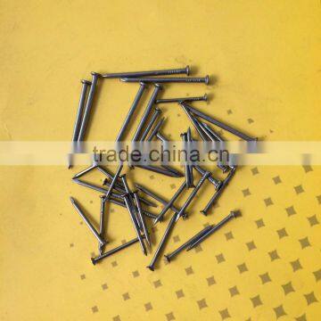 Common Nails/common Iron Nail Factory From China photo-2