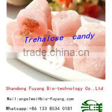 Hot Sale Trehalose in Egypt Marketing photo-3