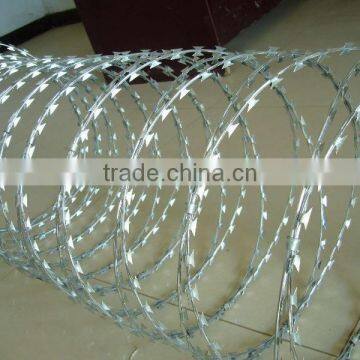 Galvanized Razor Wire Price in Guangzhou Supplier photo-2