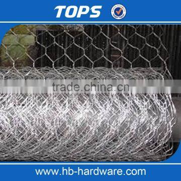 China Factory Chicken Wire Mesh