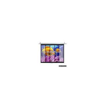 Sell Projection Screen
