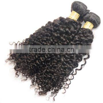 2017 Hot Sell African Curl Hair Weft for Black Women photo-5