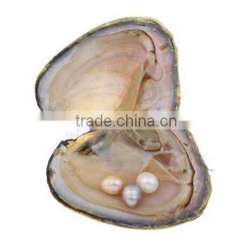 2017 New Mixed Colors Freshwater Cultured Pearl Oyster With Rice Shape photo-2