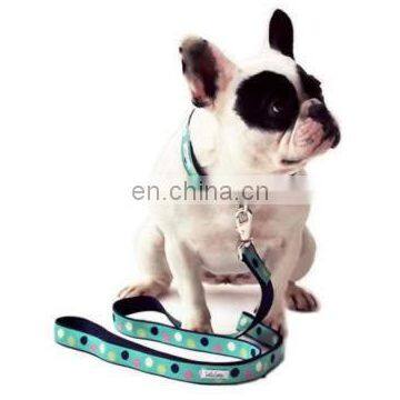 china top 10 supplier dog collar pet funny design printing paracord dog collar